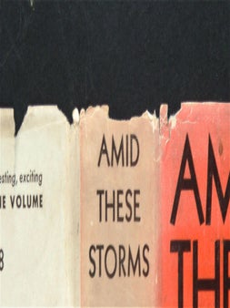 Amid These Storms